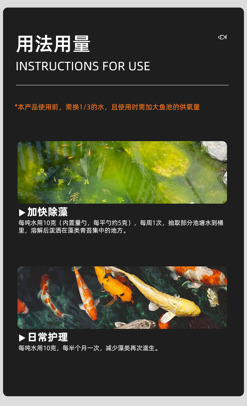 锦鲤鱼池除绿藻