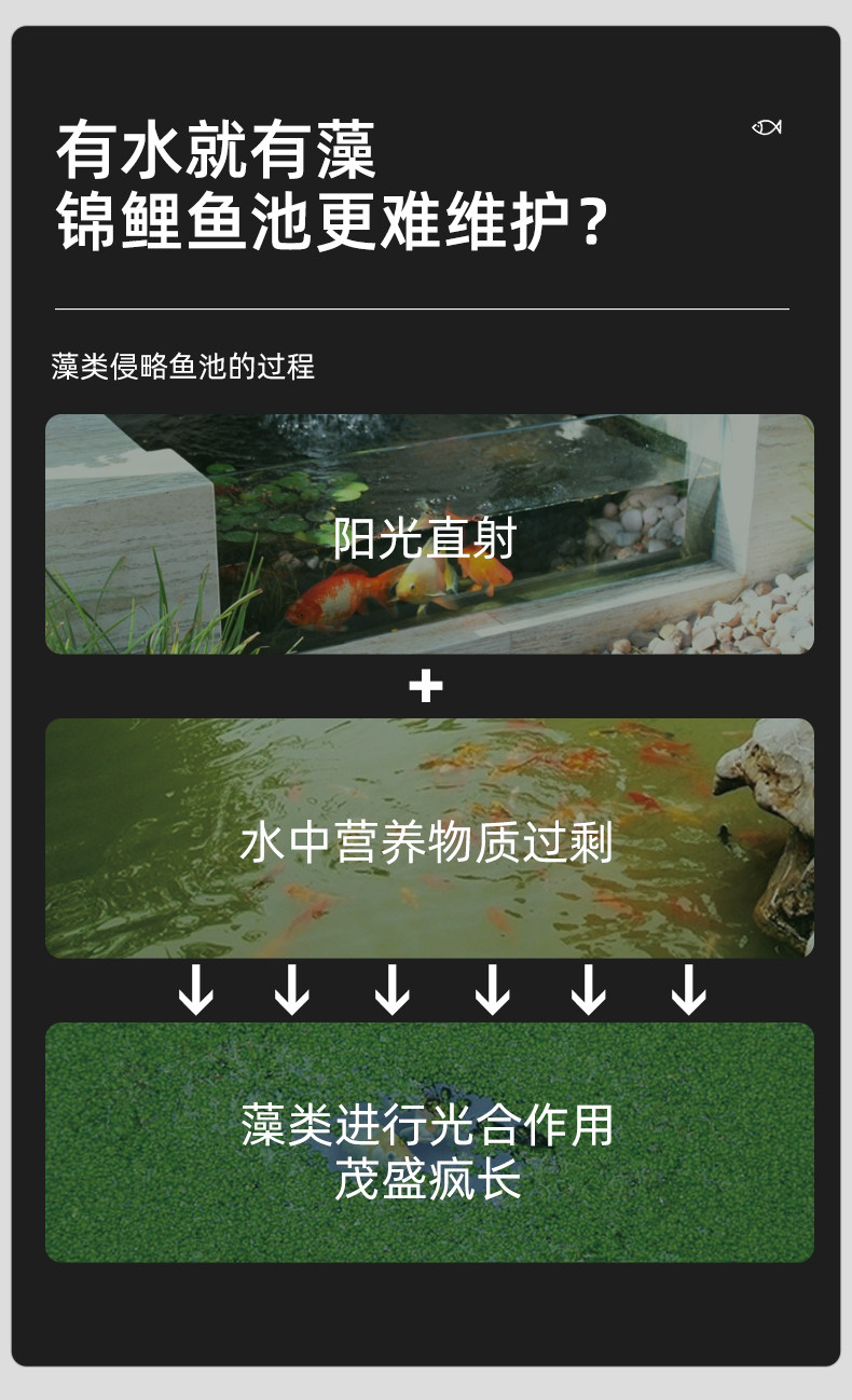除绿藻