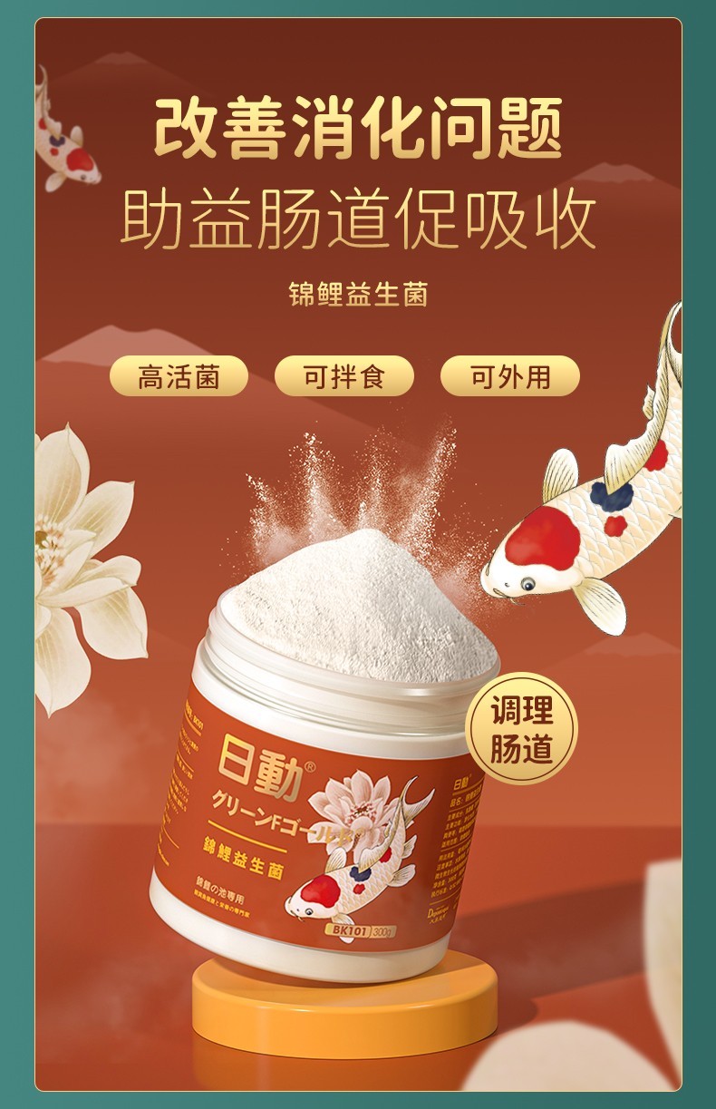 锦鲤疾病