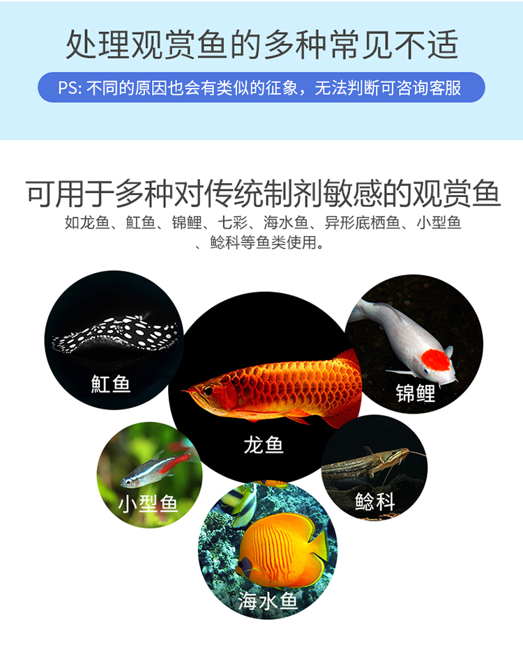 百因美一号