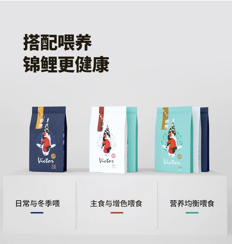 锦鲤饲料